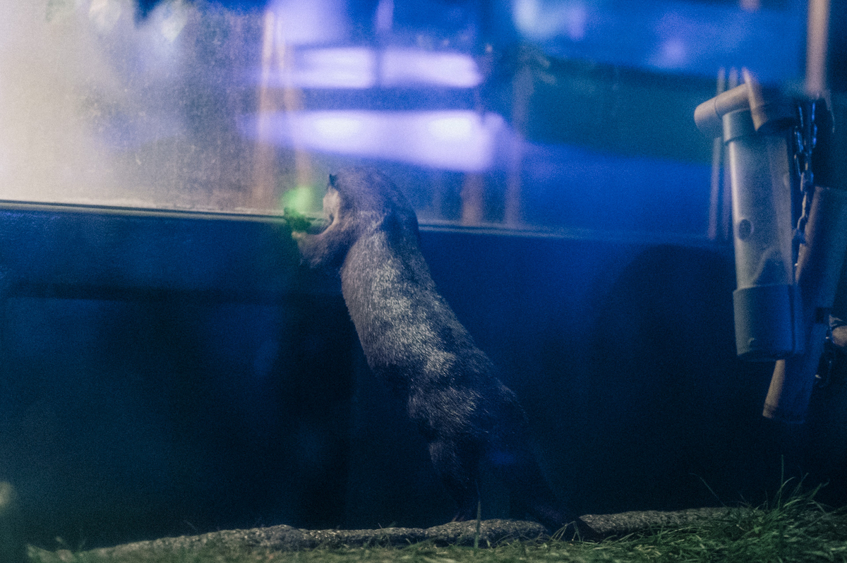 2023.04.27 サンシャイン水族館