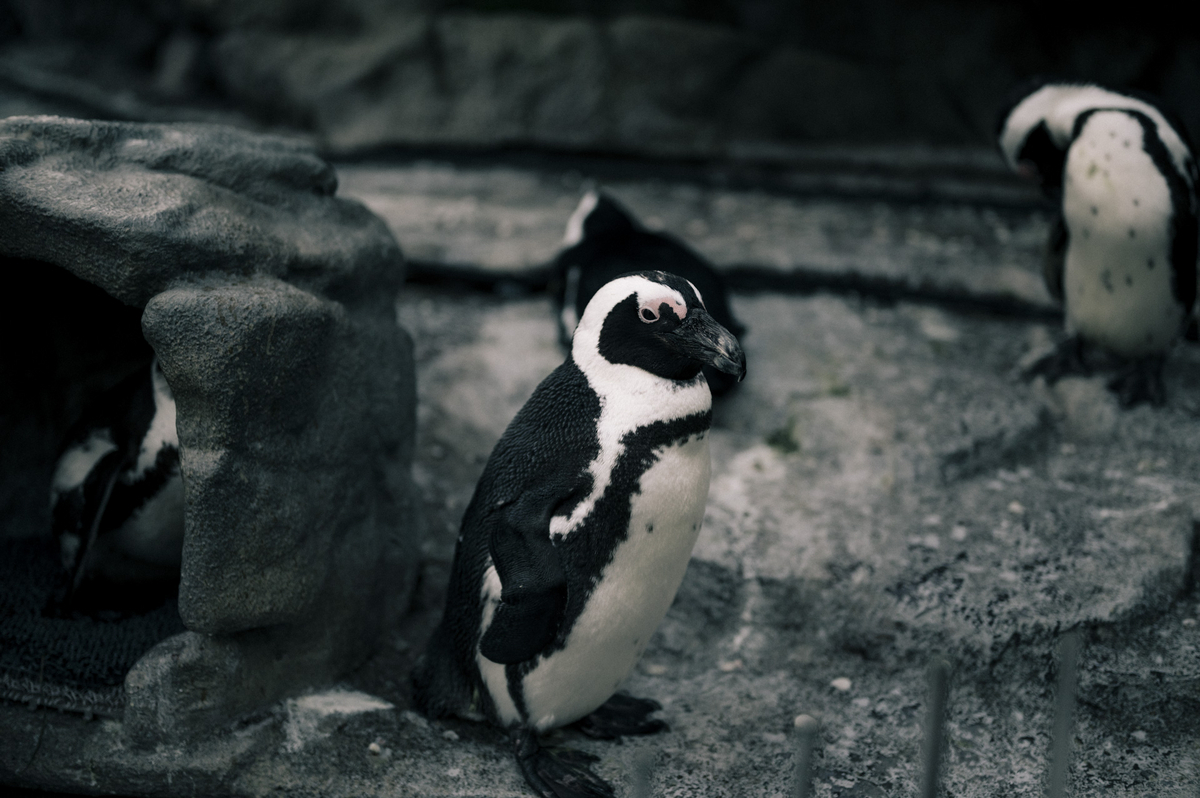 2023.04.27 サンシャイン水族館