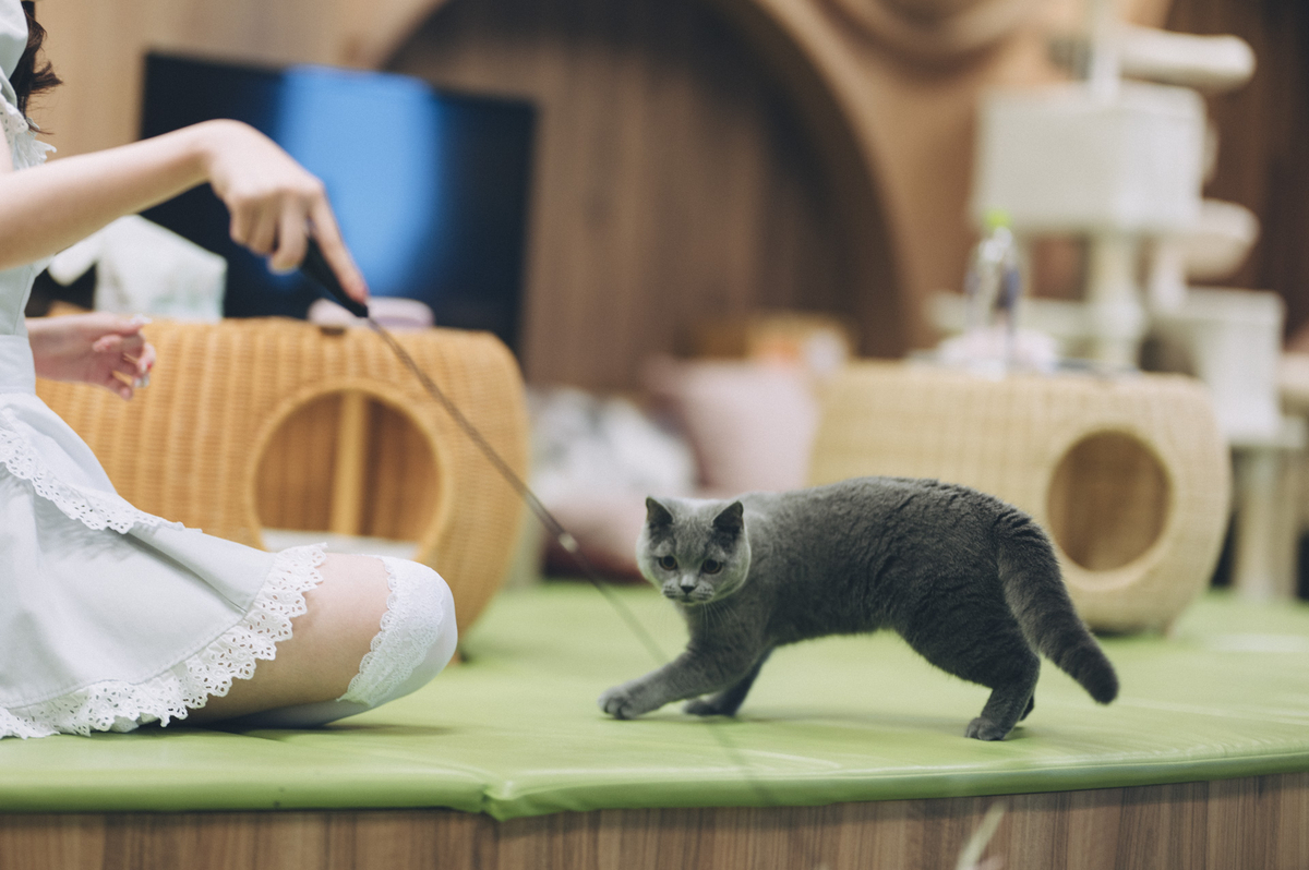 2023.04.16 僕と猫。