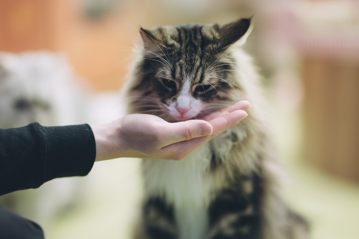 2023.04.16 僕と猫。