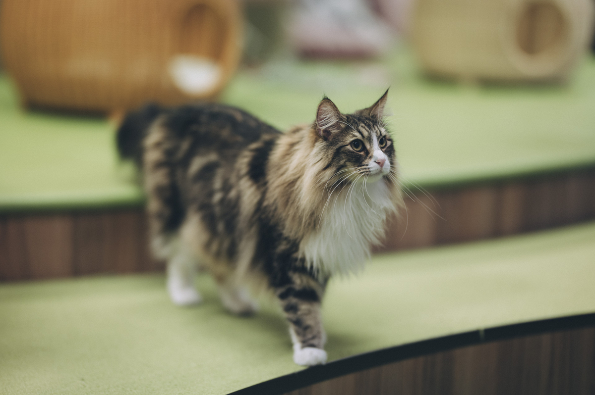 2023.04.16 僕と猫。