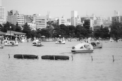 2023.05.21 根津散歩