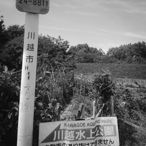 2023.05.03 川越プール